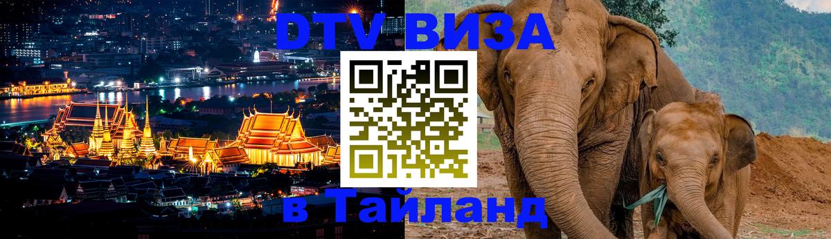 Оформление DTV визы под ключ: стоимость и тарифы, только загранпаспорт - 